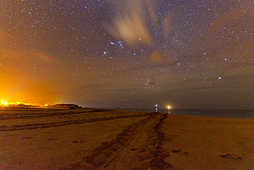 Green Sea Turtle (Chelonia mydas) nesting site at night on Long Beach on Ascension Island, Tropical Atlantic Ocean.