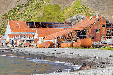 Views of the abandoned whaling station in Stromness Bay on South Georgia, Southern Ocean, Polar Regions