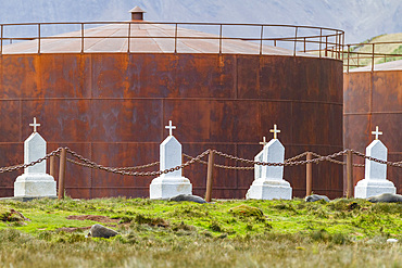 Views of the abandoned whaling station cemetery in Stromness Bay on South Georgia, Southern Ocean, Polar Regions