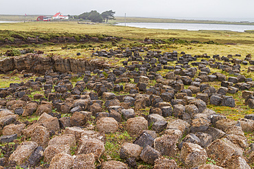 A tour of Long Island Farm outside Stanley in the Falkland Islands, South Atlantic Ocean.