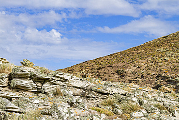 Views of lichen covered rocks on New Island in the Falkland Islands, South Atlantic Ocean, South America