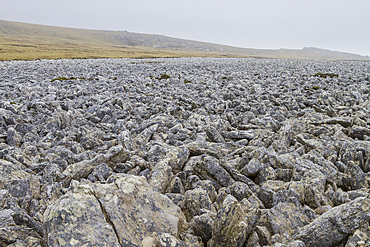 Views of the famous stone runs just outside Stanley, the capital and only true city (with a cathedral) in the Falkland Islands.