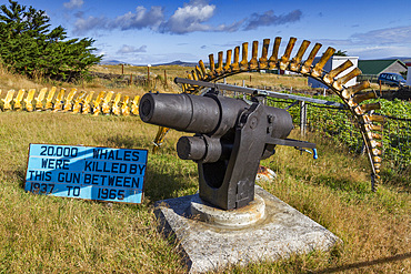 Views of the Whaling Memorial in Stanley, the capital and only true city (with a cathedral) in the Falkland Islands, South America