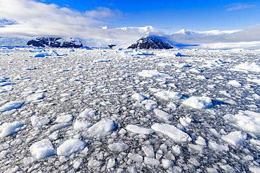 View of brash ice and snow-capped mountains in Neko Harbor in Andvord Bay, Antarctica, Polar Regions