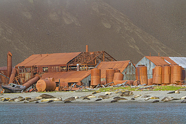 Views of the abandoned whaling station at Stromness Harbor on South Georgia Island, Southern Ocean