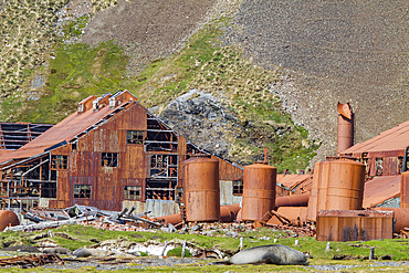 Views of the abandoned whaling station at Stromness Harbor on South Georgia Island, Southern Ocean