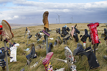 View of the famous 'Boot Hill' outside Stanley, the capital and only true city in the Falkland Islands, South Atlantic Ocean.