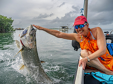 Tourists hand-feeding tarpon, Megalops atlanticus, at feeding station inside the Mesoamerican Barrier Reef, Belize.