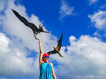 Tourists hand-feeding magnificent frigatebird, Fregata magnificens, at feeding station, Mesoamerican Barrier Reef, Belize.