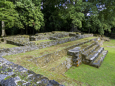 The royal complex at the Mesoamerican archaeological site of Lamanai, submerged crocodile, Belize.