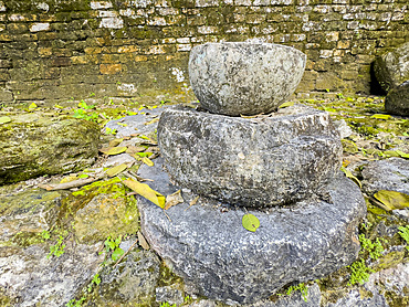 The royal complex at the Mesoamerican archaeological site of Lamanai, submerged crocodile, Belize.