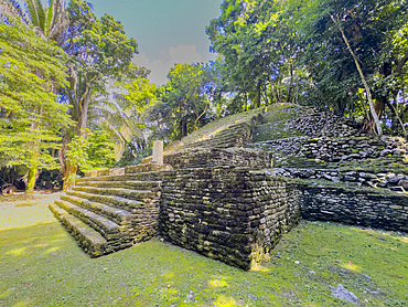 The temple Stela 9 complex at the Mesoamerican archaeological site of Lamanai, submerged crocodile, Belize.