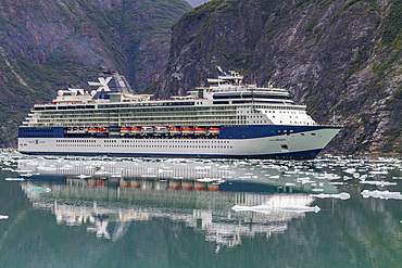 A view of various ships (shown here is the Celebrity Infinity) in Southeast Alaska, USA, Pacific Ocean.