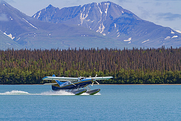 Float planes used to fly guests in to the Brooks Lodge and campground in Katmai National Park near Bristol Bay, Alaska.