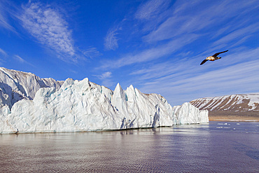 A view of the tidewater glacier in Isbukta (Ice Bay) on the western side of Spitsbergen Island, Svalbard Archipelago, Norway.