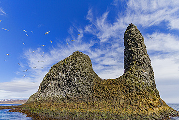 A view of sea cliffs and stacks in the Langanes peninsula in the northeast part of Iceland.