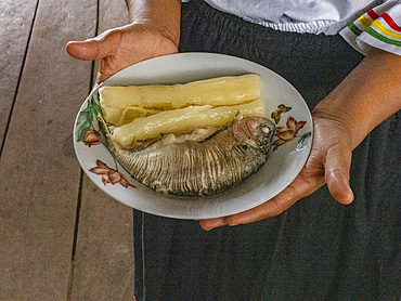 Local fish made by the women from the NGO Minga Peru in the village of Amazonas on the Marañon River, Peru.