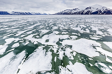 The seasons last remaining shore fast ice in Bellsund, Spitsbergen, Svalbard, Norway, Scandinavia, Europe