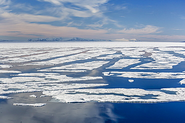 Open leads in first year sea ice in Hinlopen Strait, Svalbard, Norway, Scandinavia, Europe