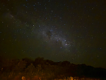 The night sky from the river with trees within the Pacaya Samiria Preserve, Peru.