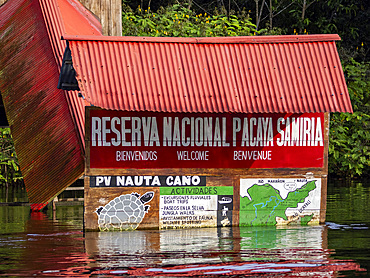 The second highest river level of the 21st century in a small village deep within the Pacaya Samiria Preserve, Peru.