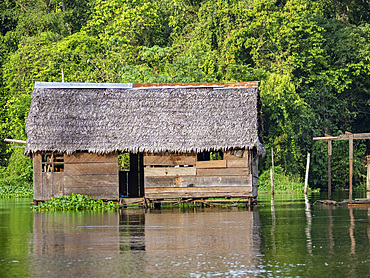 The second highest river level of the 21st century in a small village deep within the Pacaya Samiria Preserve, Peru.