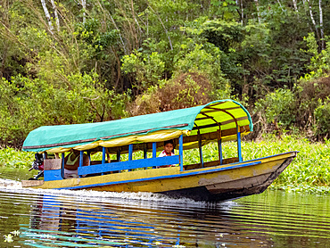 Local people in a panga style boat deep within the Pacaya Samiria Preserve, Peru.