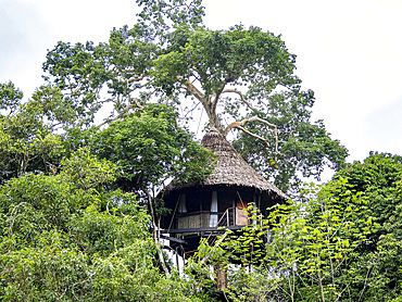 Ecotourism lodge deep within the Pacaya Samiria Preserve, Peru.