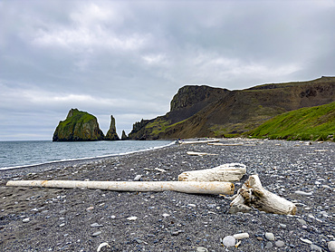 Driftwood on the beach on Saint Mathew Island, Alaska.