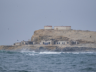 Scenes from the Palomino Islands on a foggy and stormy day, just outside Lima, Peru.