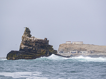Scenes from the Palomino Islands on a foggy and stormy day, just outside Lima, Peru.