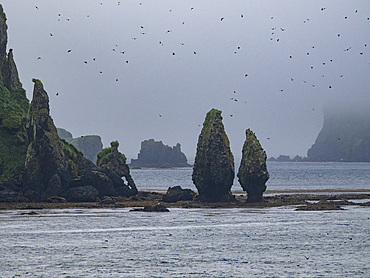 The Baby Islands, located about 1.2 miles northeast of Unalga Island in the Aleutian Islands of southwestern Alaska.