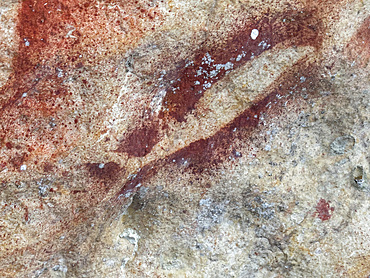 Ancient rock art painted on the limestone cliffs in Berau Bay on the island of Papua, Indonesia.
