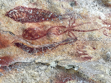 Ancient rock art painted on the limestone cliffs in Berau Bay on the island of Papua, Indonesia.