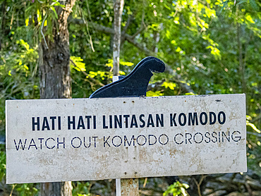 A sign about Komodo dragons, Varanus komodoensis, largest extant species of lizard, on Komodo Island, Indonesia.