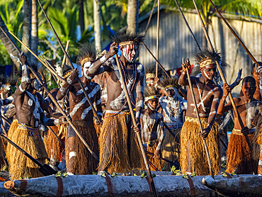 Male paddlers from the village of Uwus perform in a ritualistic greeting ceremony, Asmat Region, Papua, Indonesia.