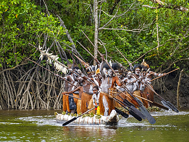 Male paddlers from the village of Uwus perform in a ritualistic greeting ceremony, Asmat Region, Papua, Indonesia.
