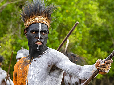 Male paddlers from the village of Uwus perform in a ritualistic greeting ceremony, Asmat Region, Papua, Indonesia.