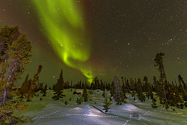 Aurora Borealis, or Northern Lights, over the boreal forest on the Great Slave Lake, Northwest Territories, Canada.