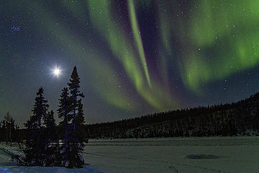 Aurora Borealis, or Northern Lights, over the boreal forest on the Great Slave Lake, Northwest Territories, Canada.