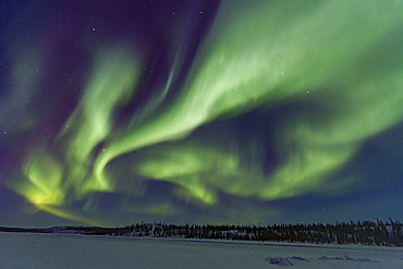 Aurora Borealis, or Northern Lights, over the boreal forest on the Great Slave Lake, Northwest Territories, Canada.