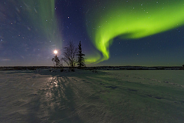 Aurora Borealis, or Northern Lights, over the boreal forest on the Great Slave Lake, Northwest Territories, Canada.