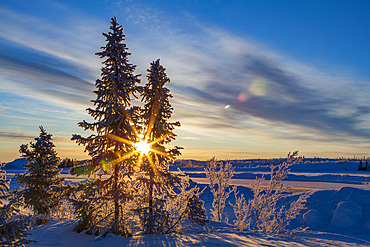 Sunrise over the boreal forest on the Great Slave Lake north of Yellowknife, Northwest Territories, Canada.