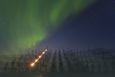 Aurora Borealis, or Northern Lights, over the boreal forest on the Great Slave Lake, Northwest Territories, Canada.