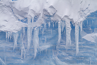 Iceberg detail showing the color blue around the Antarctic Peninsula, during the Austral summer months, Antarctica.