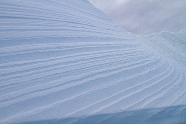 Iceberg detail showing the color blue around the Antarctic Peninsula, during the Austral summer months, Antarctica.