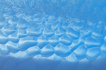 Iceberg detail showing the color blue around the Antarctic Peninsula, during the Austral summer months, Antarctica.