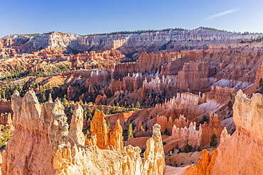 Hoodoo rock formations in Bryce Canyon Amphitheater, Bryce Canyon National Park, Utah, United States of America, North America 