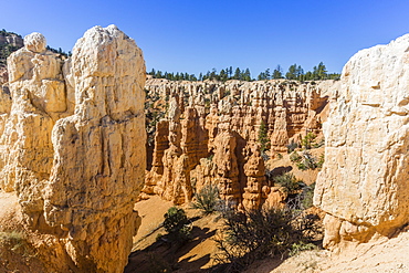 Hoodoo rock formations from the Fairyland Trail, Bryce Canyon National Park, Utah, United States of America, North America 