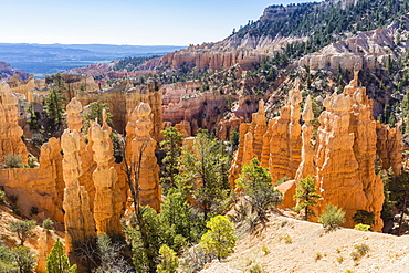 Hoodoo rock formations from the Fairyland Trail, Bryce Canyon National Park, Utah, United States of America, North America 